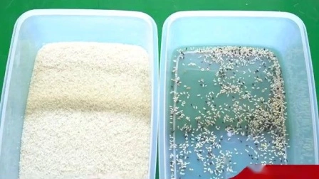 Mini selector del arroz de la máquina de procesamiento del arroz de la máquina del clasificador del color del arroz del CCD
